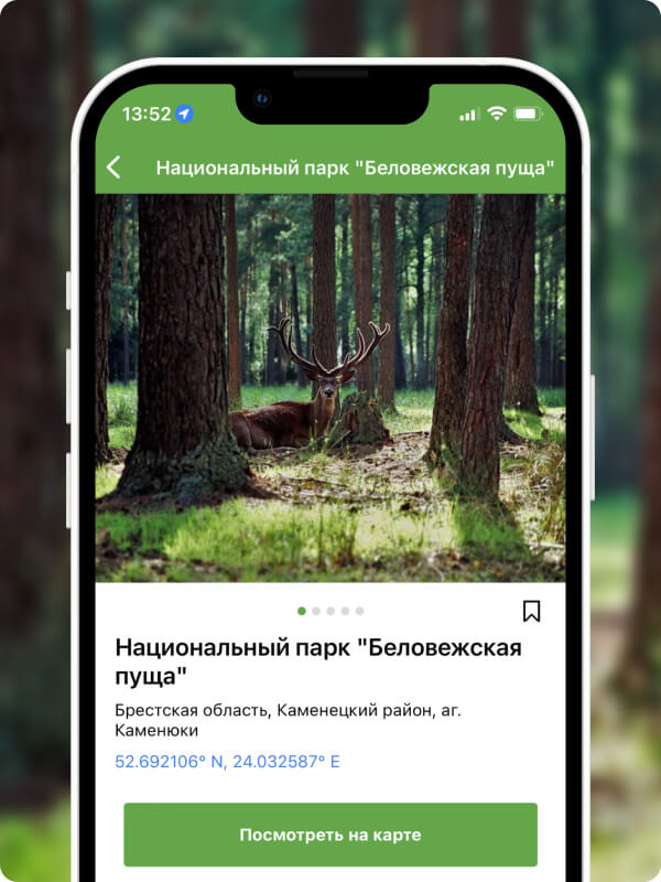 Screenshot of mobile app